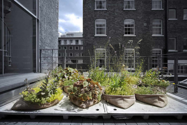 Pocket Habitat © Thomas Graham, Arup