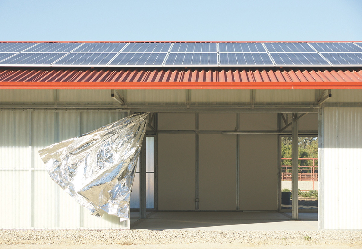 agps architecture: 99¢ Space, 2016 (Photo: Sarah Graham)